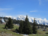 Vue