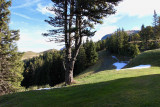 Vue