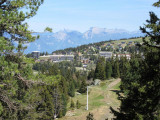 Vue