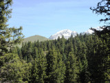 Vue