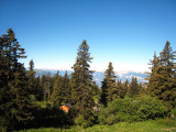 Vue