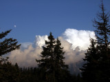 _lv_images__lot_0016010230_09_6378307