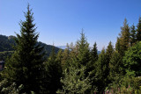 Vue