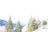 _lv_images__lot_0016110207_15_6378361