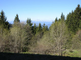 Vue
