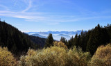 Vue