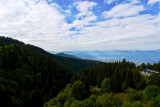 Vue