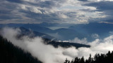 Vue