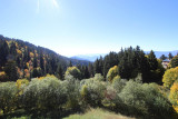 _lv_images__lot_0016190239_10_6377632