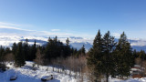 _lv_images__lot_0016190310_11_6410597