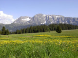 _lv_images__lot_0016190316_15_6435208