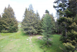 Vue