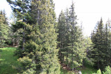 Vue été