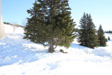 _lv_images__lot_0016190370_09_6379294