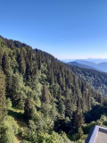 _lv_images__lot_0016190390_11_6379614