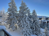 _lv_images__lot_0016190415_15_6378488