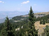 _lv_images__lot_0016190420_11_6377270