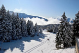_lv_images__lot_0016190477_13_6410116