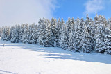 _lv_images__lot_0016190477_14_6378999