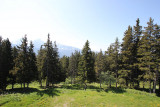 _lv_images__lot_0016190514_09_6378882