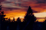 _lv_images__lot_0016190514_11_6410055