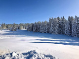 _lv_images__lot_0016190528_10_6264536