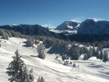 _lv_images__lot_0016190534_16_6409802