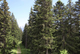 Vue été
