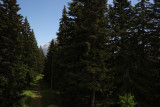 Vue été