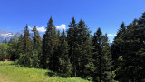 _lv_images__lot_0016190591_03_6378534