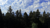 _lv_images__lot_0016190594_06_6406958