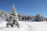 Séjour ski janvier Chamrousse