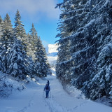 Extérieur raquettes chalet nounours Chamrousse