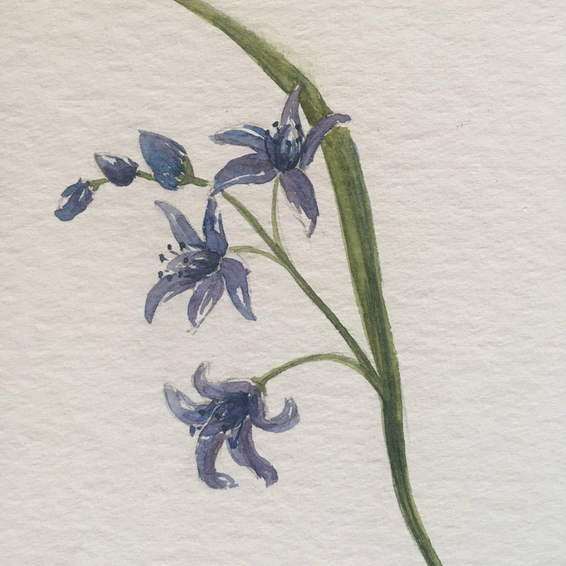 Aquarell-Spaziergang Chamrousse