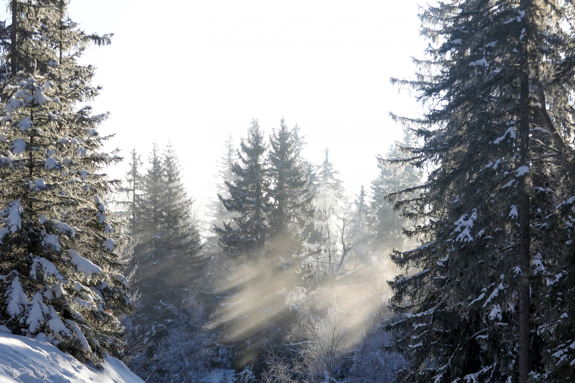 Abseits der Piste, begleitet von einem ESF-Lehrer - © Nils Louna Abseits der Piste, begleitet von einem ESF-Lehrer