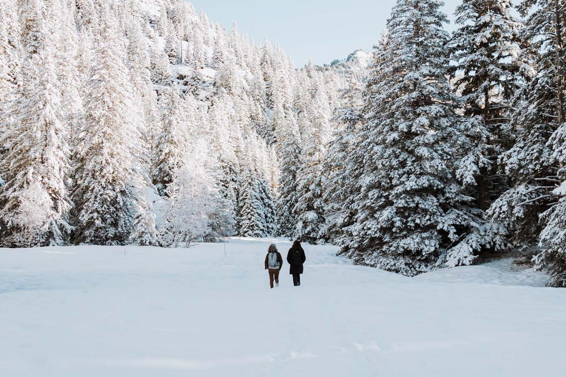 Forest bath Chamrousse