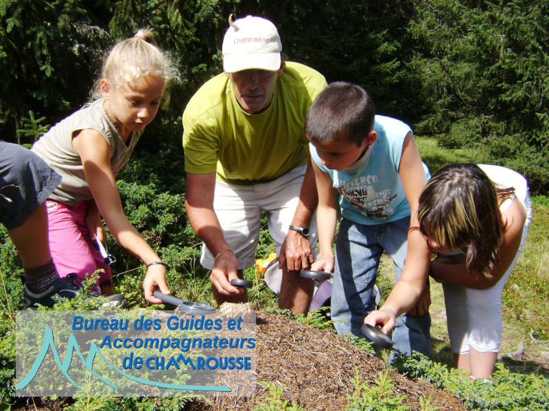 Nature Awakening - © Bureau des Guides et Accompagnateurs Nature Awakening