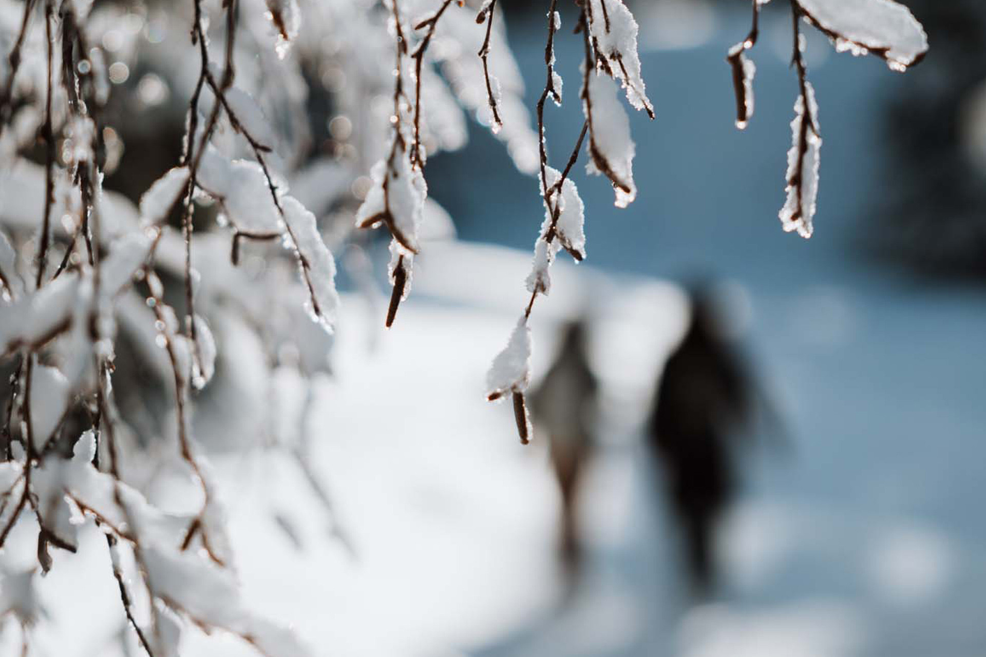 Waldbaden Chamrousse