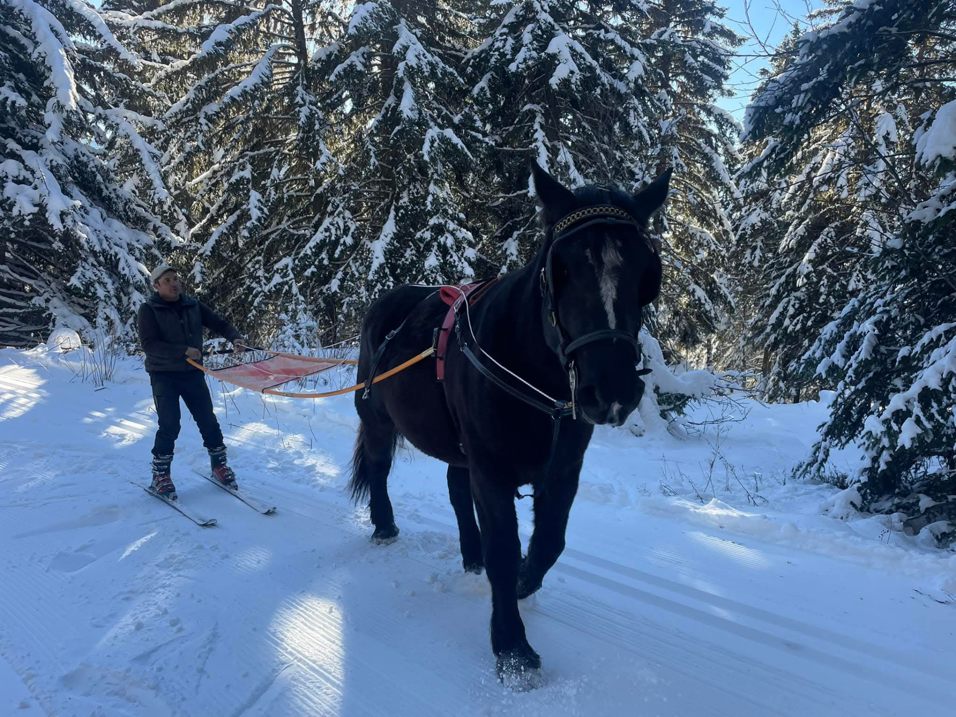 Ski Joering - La Liaison Chamrousse