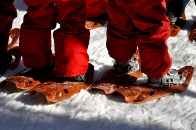 Öko-Wanderungen mit Schneeschuhen