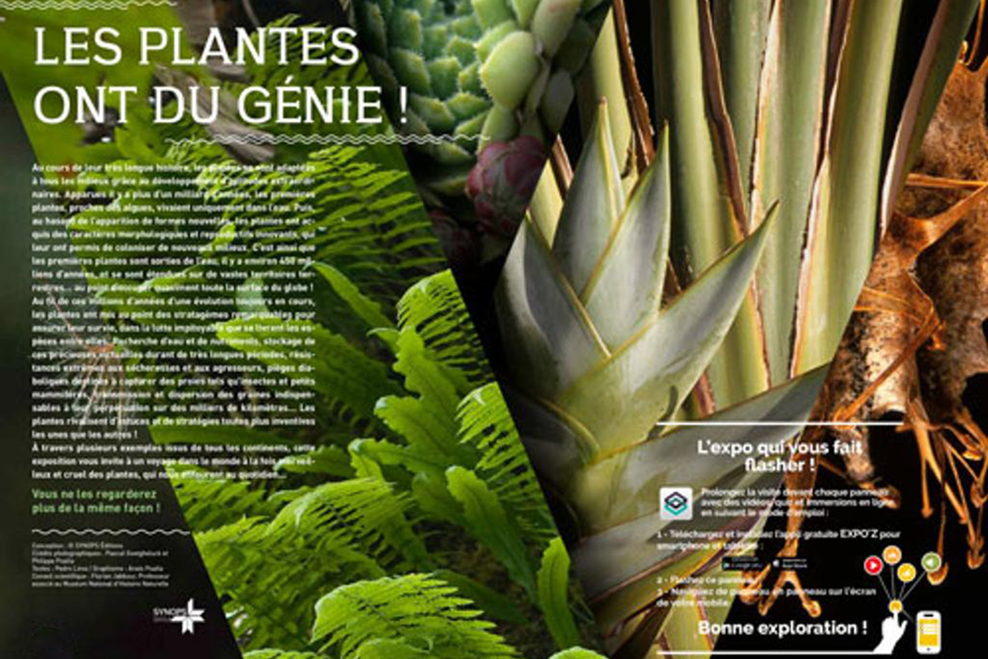 Chamrousse plant exhibition