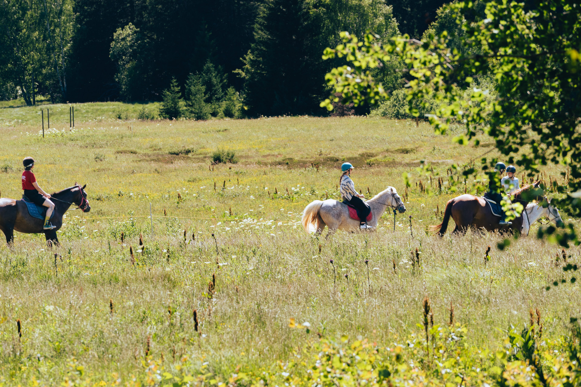 Equestrian activities on the Arselle plateau_Chamrousse