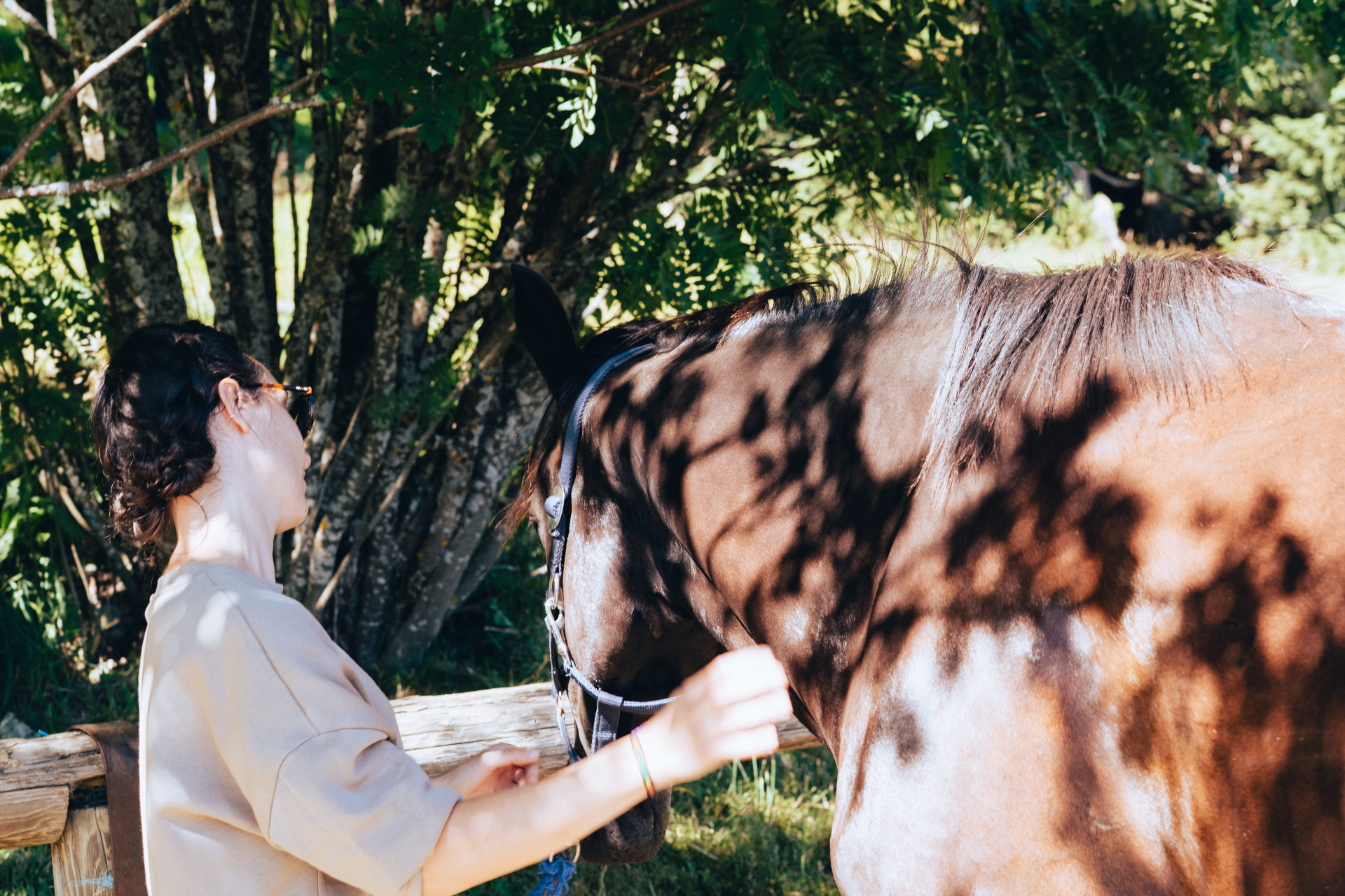 Equestrian activities on the Arselle plateau_Chamrousse