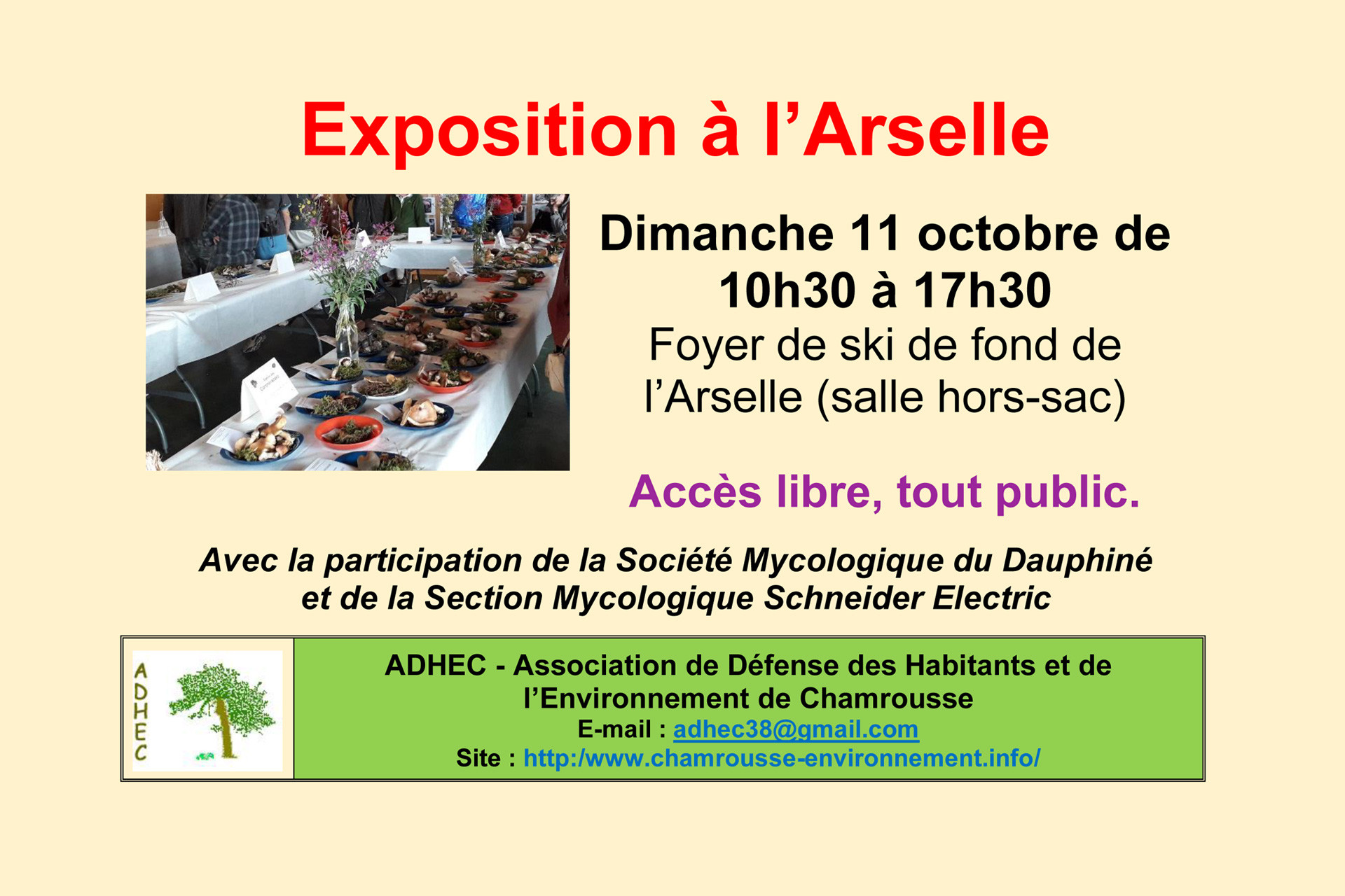 Week-end champignons Chamrousse - © Adhec Chamrousse Week-end champignons Chamrousse