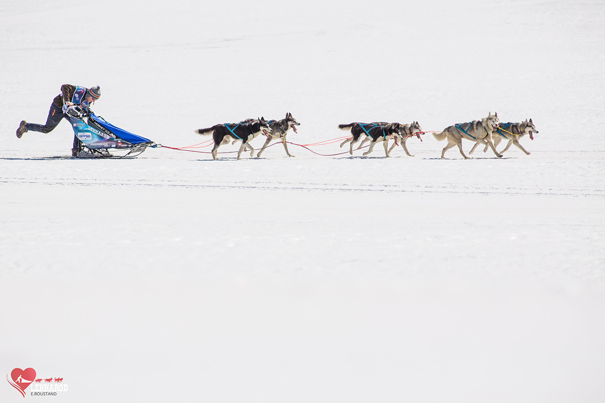 Photo Lekkarod course chiens de traîneau