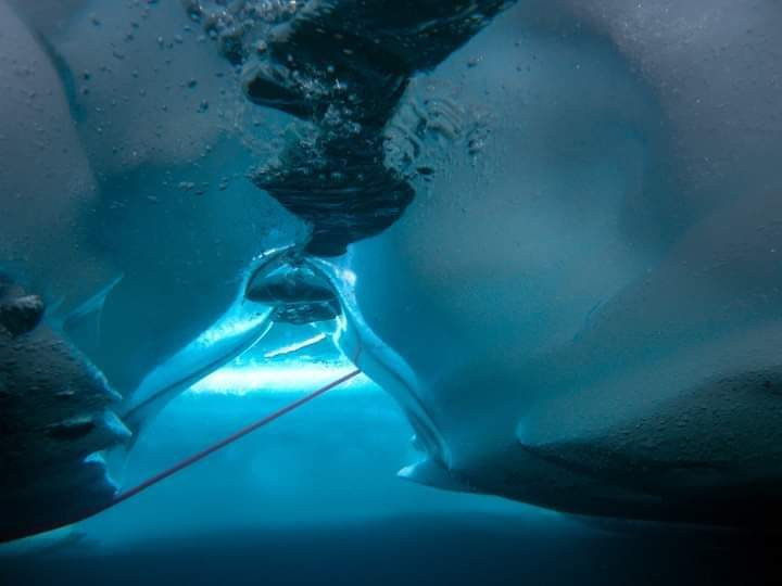 Plongée sous glace - © Dive Extreme Plongée sous glace