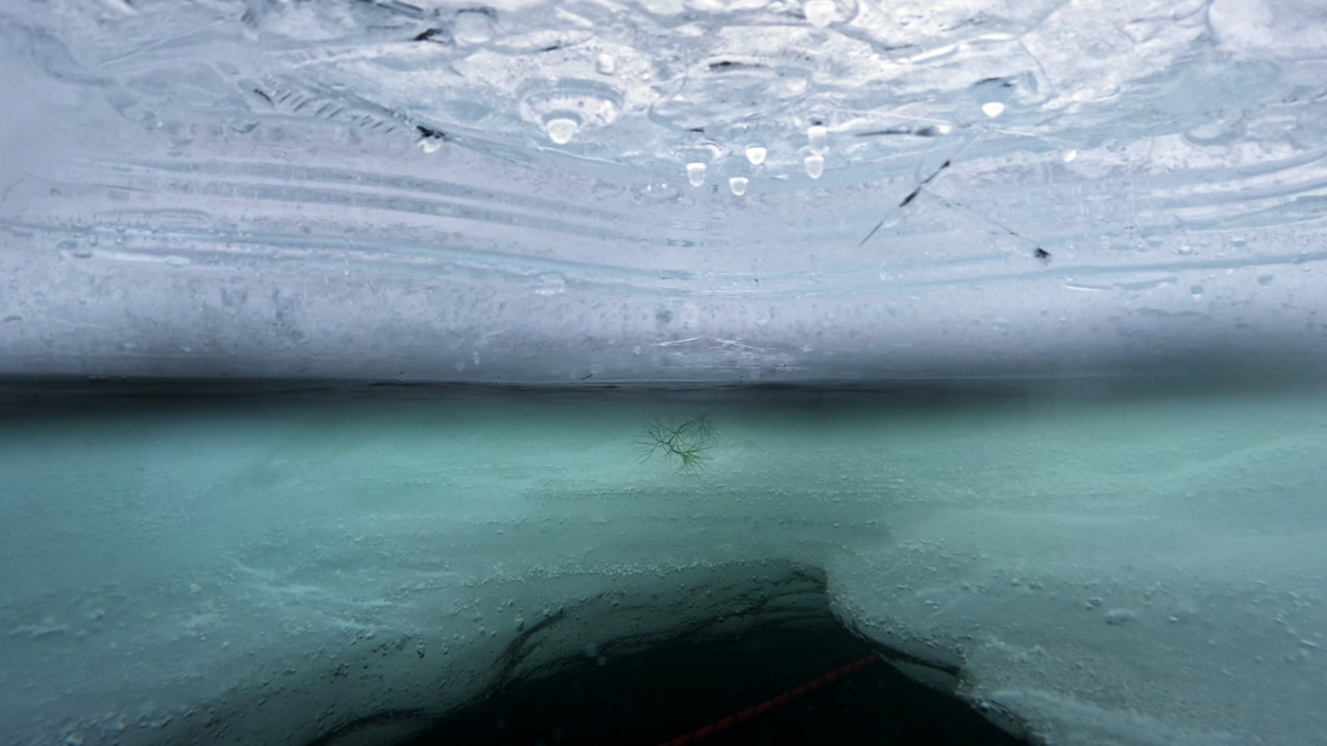 Plongée sous glace - © Dive Extreme Plongée sous glace