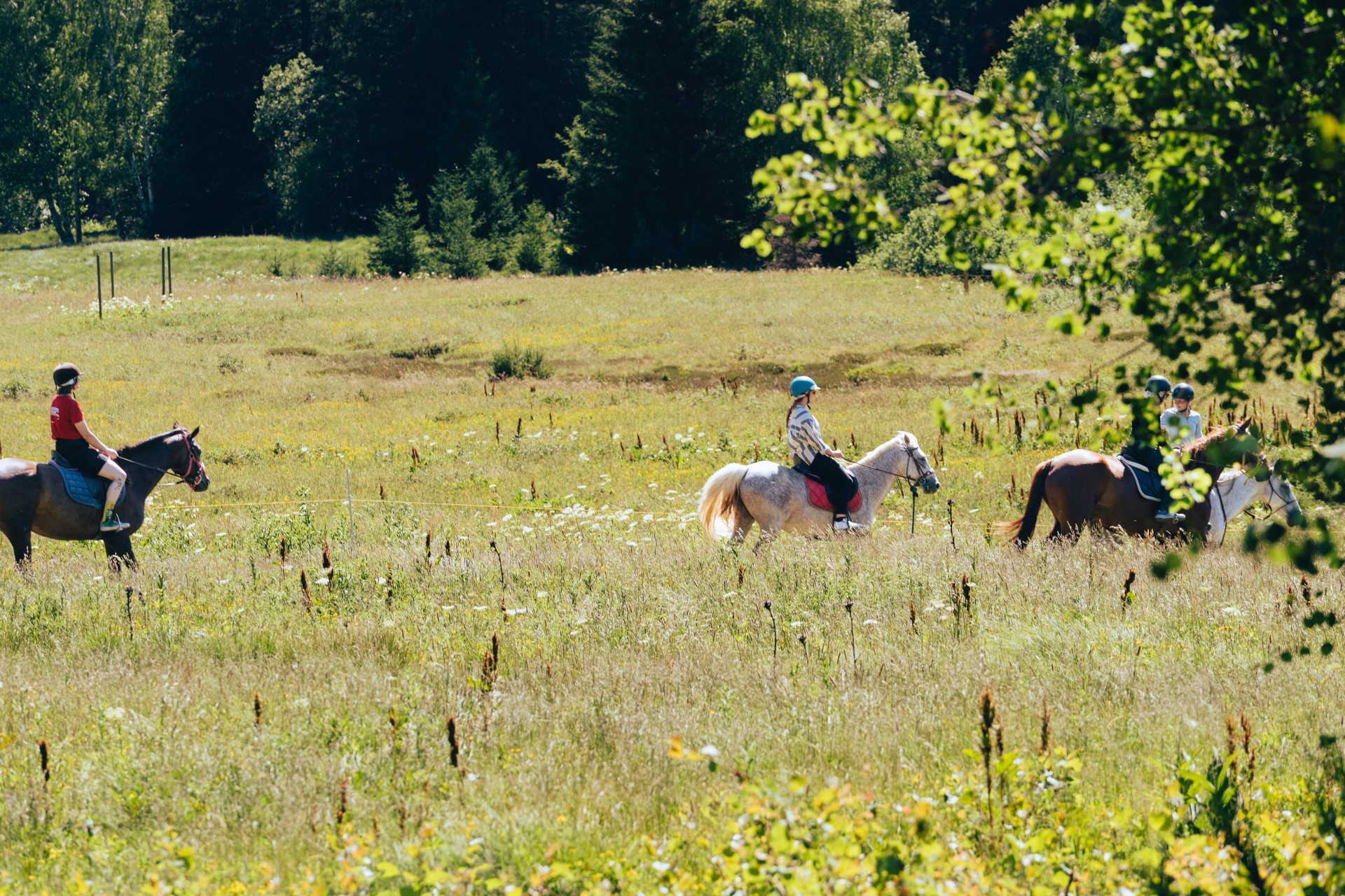 Equestrian activities on the Arselle plateau_Chamrousse - © CH - OT Chamrousse Equestrian activities on the Arselle plateau_Chamrousse
