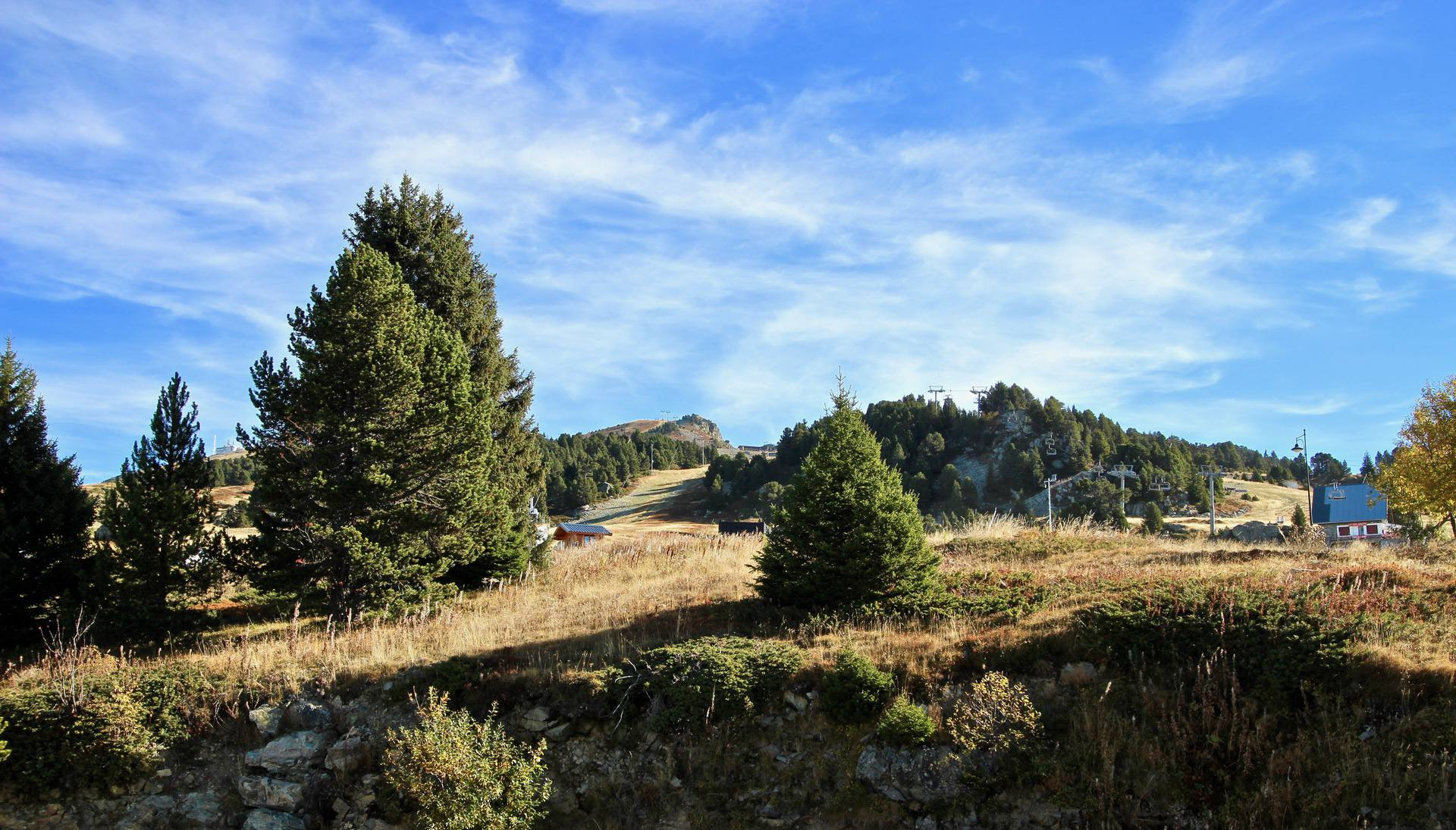Vue
