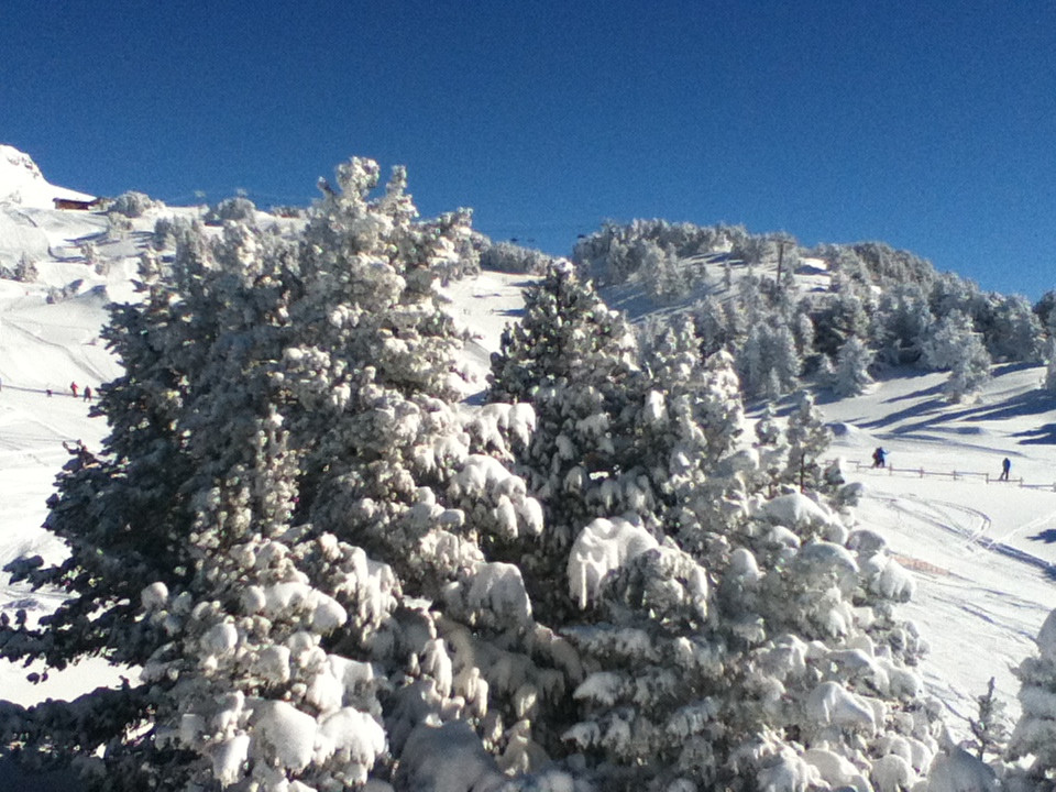 _lv_images__lot_0015100605_09_6377871